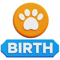 Birth Certificate